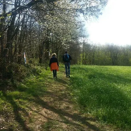 Lo.f.t O Village Monflanquin