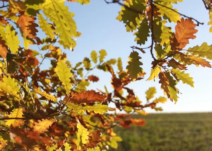 Lo.f.t O Village Monflanquin