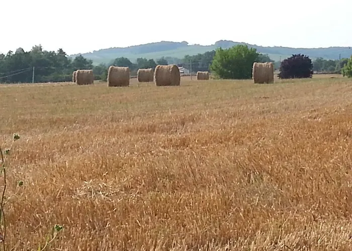 Apartmán Lo.f.t O Village